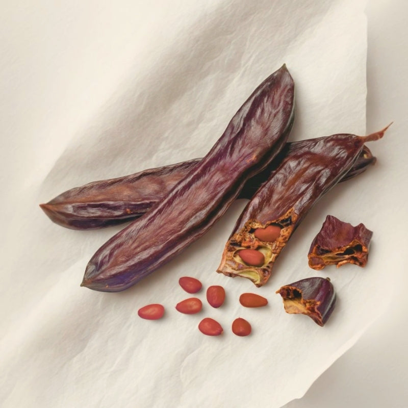 KAROOB - Rituel découverte (3 caroubes)